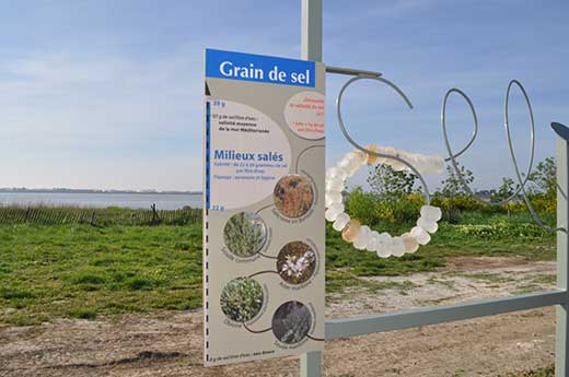 Des dispositifs d'interpr&eacute;tation bas&eacute; sur  l'exp&eacute;rience.